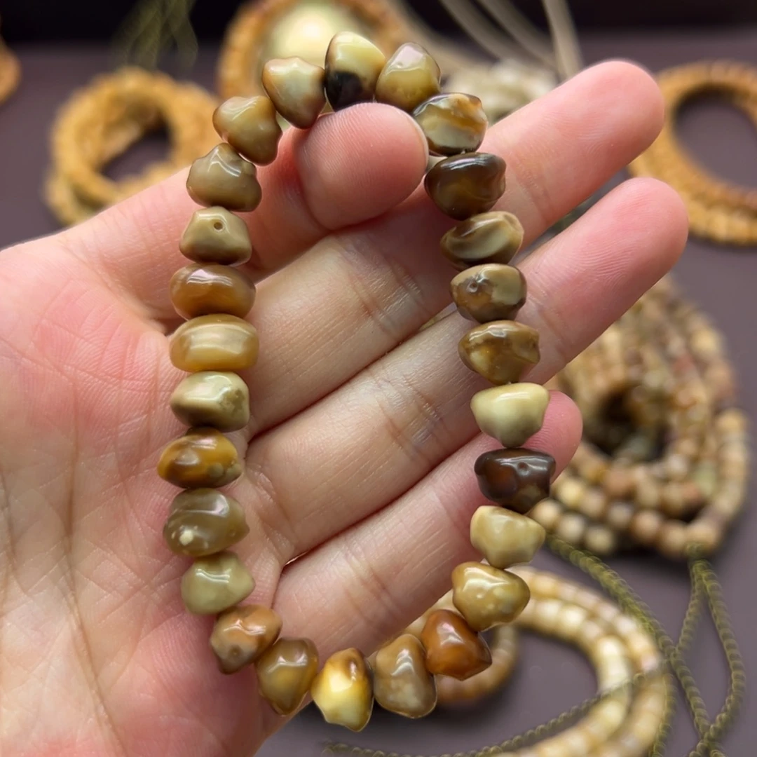 雪***)龙脊菩提吊坠原籽