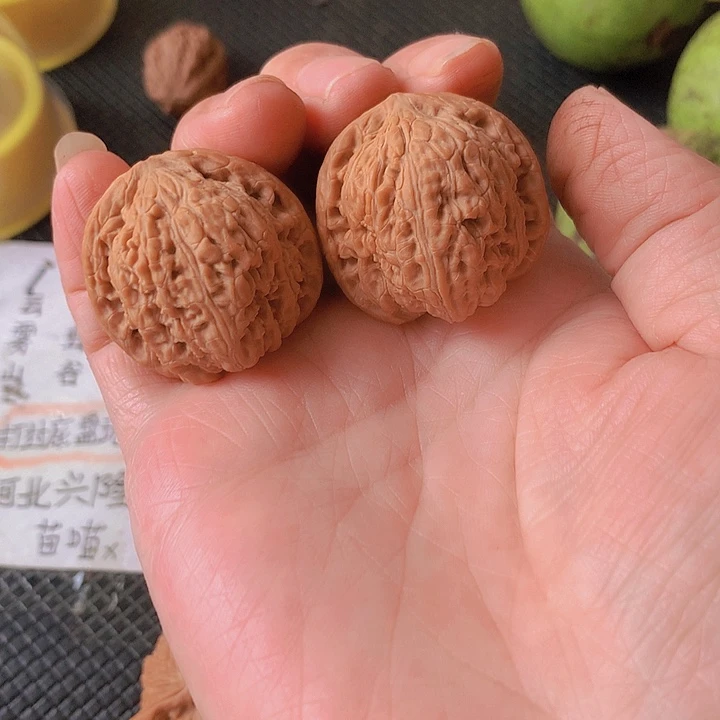 吊坠文玩核桃32红蚂瑙