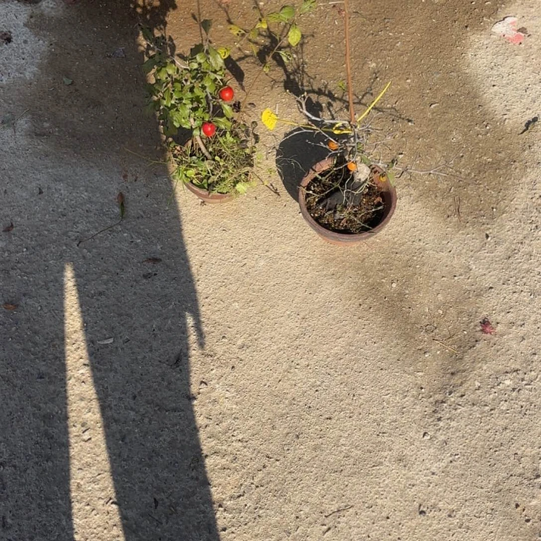 五***～无花朵老鸦老鸦老鸦老鸦老鸦老鸦