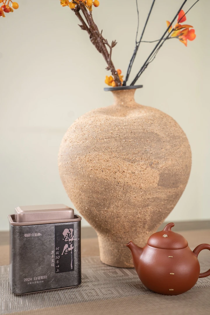 BZH11-铁盒白毫银针30g磻溪首采2024年特级白毫银针散茶