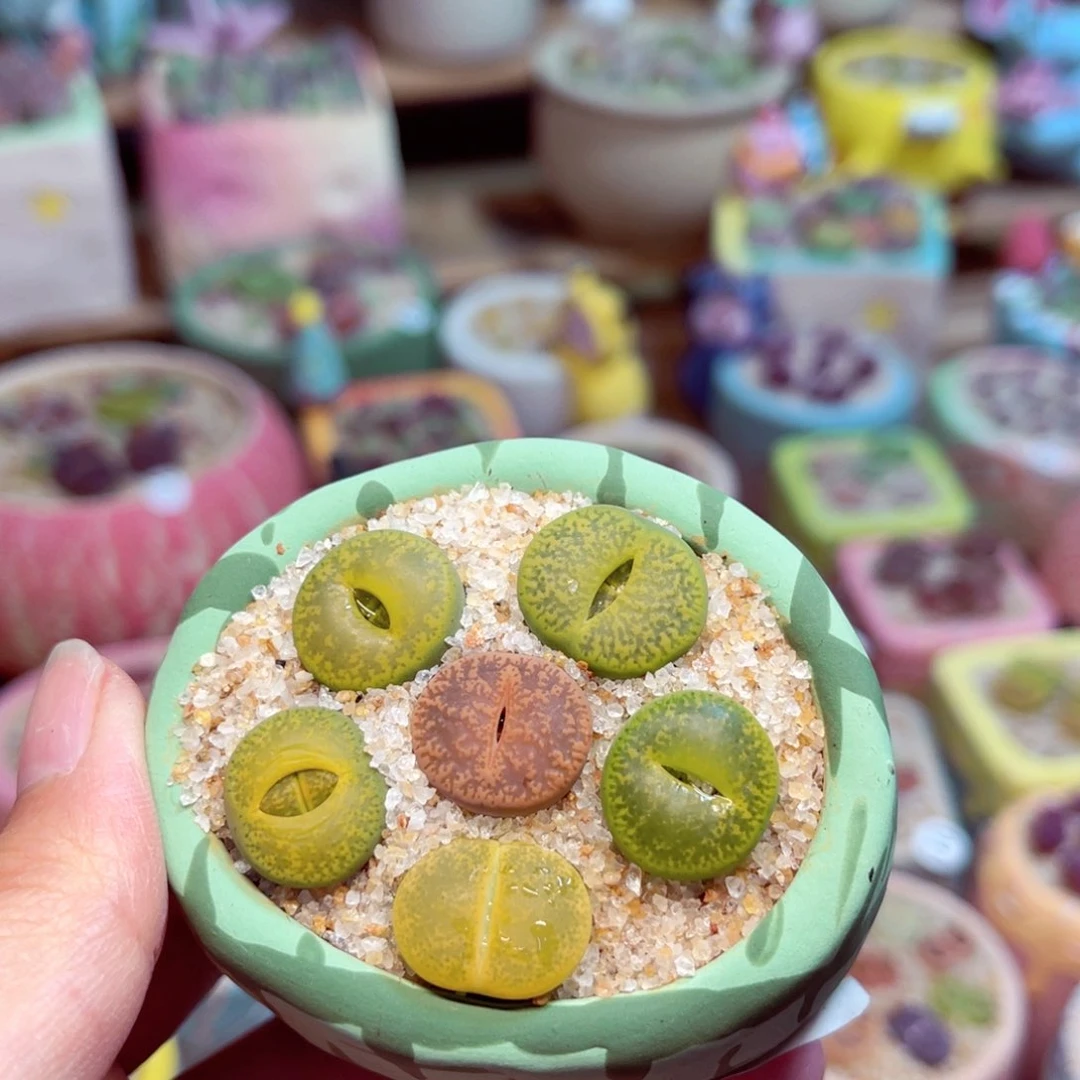 311。8888888888888888