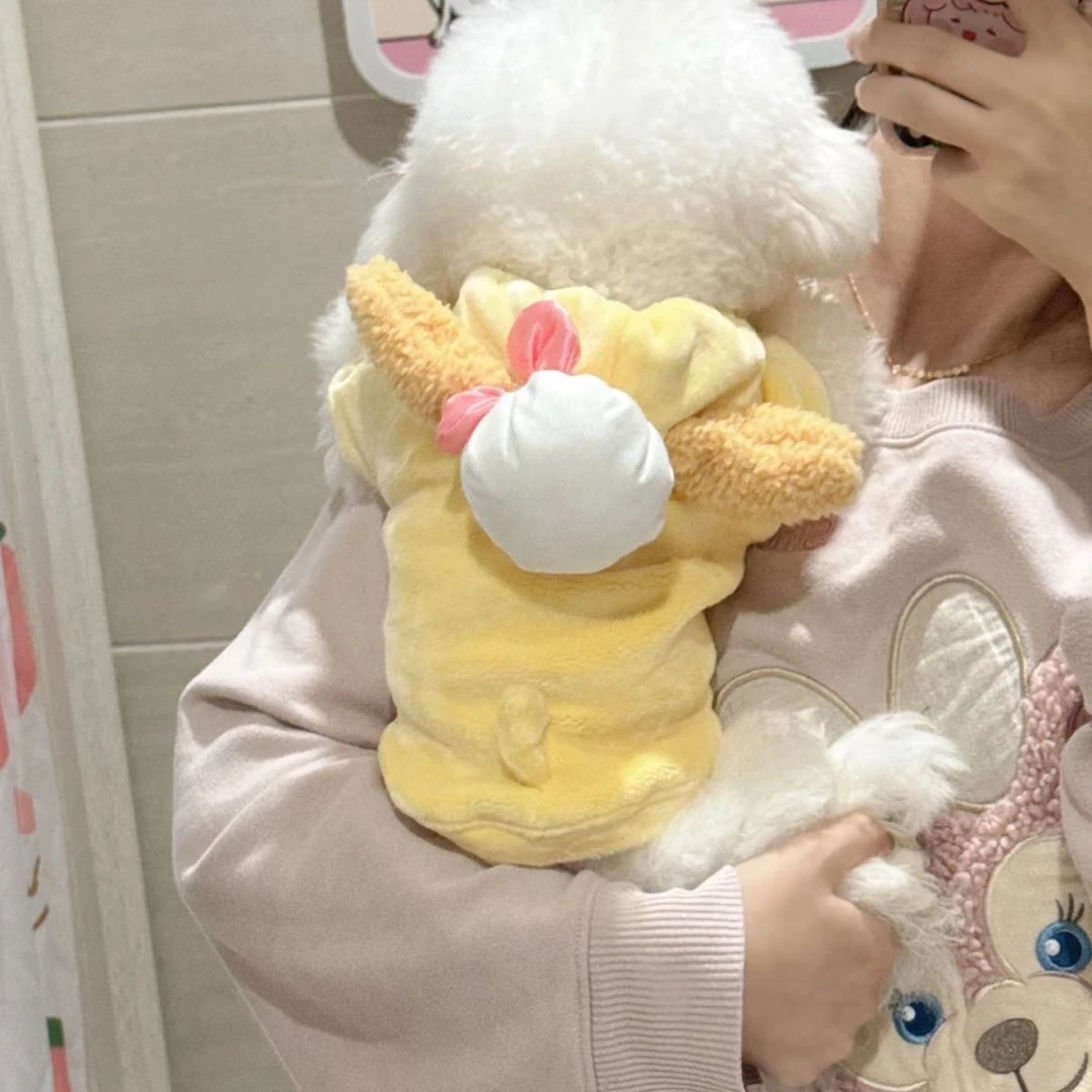 宠物可爱秋冬两脚法兰绒衣保暖小型狗狗猫咪泰迪比约克夏秋冬装