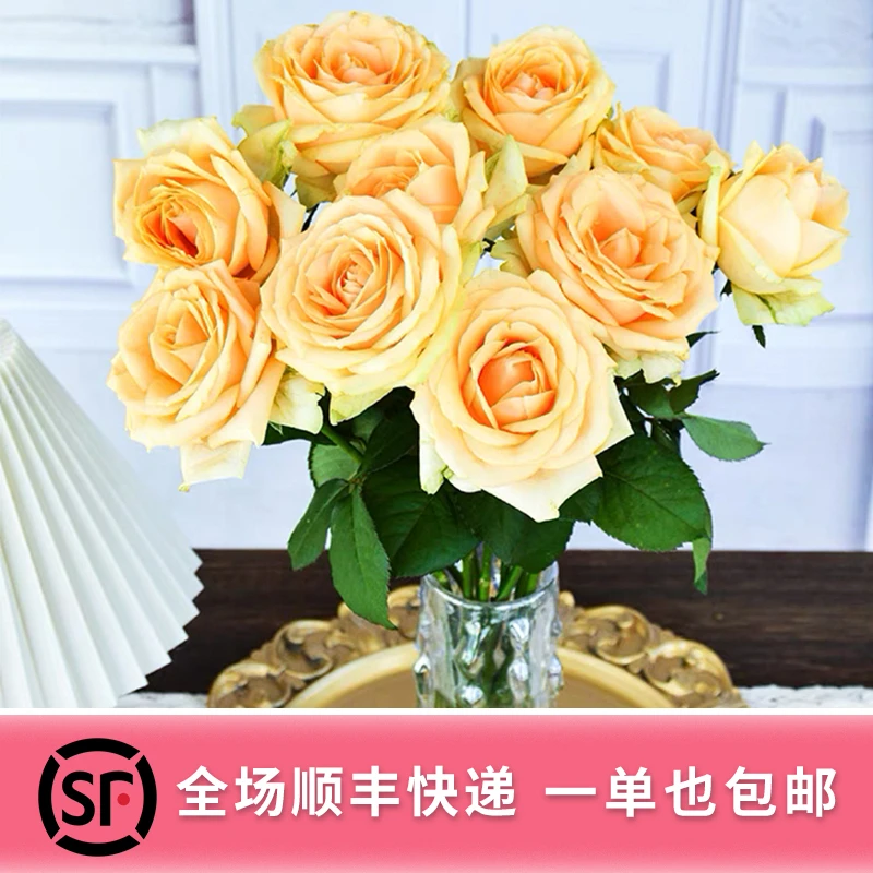 云南蜜桃雪山玫瑰家用鲜花花束520送女朋友礼物顺丰包邮发货