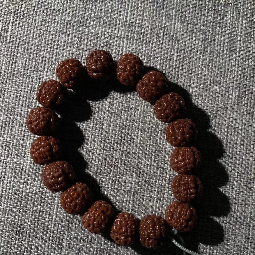 小金刚爆肉天花板古树跳跳龙