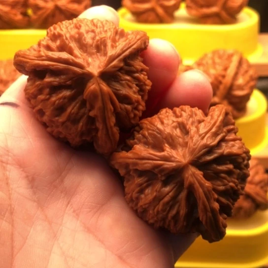 平***哥核桃核桃核桃核桃