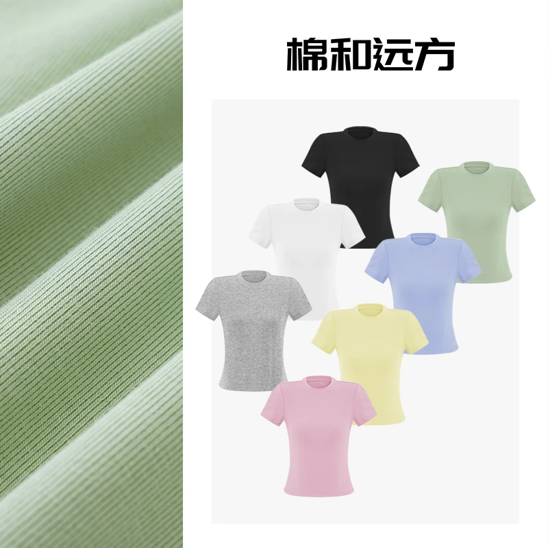 2025欧若风新款彩虹T 弹力螺纹棉_正肩显瘦基础百搭圆领修身短袖