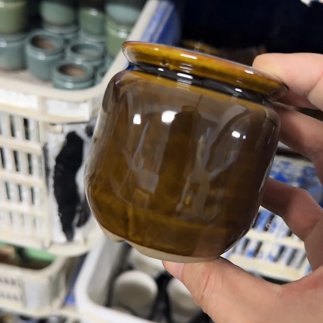 福利局绿植多肉盆［凑9元包邮24小时发］4038