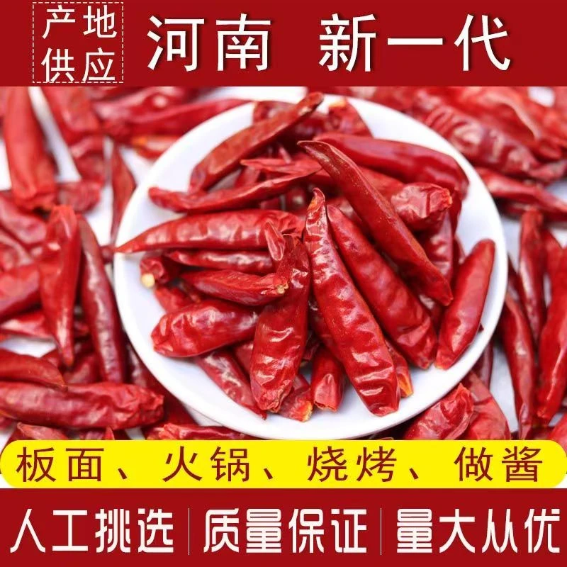 正宗河南新一代干辣椒朝天椒批发农家自然风干排湿红辣椒新鲜板面