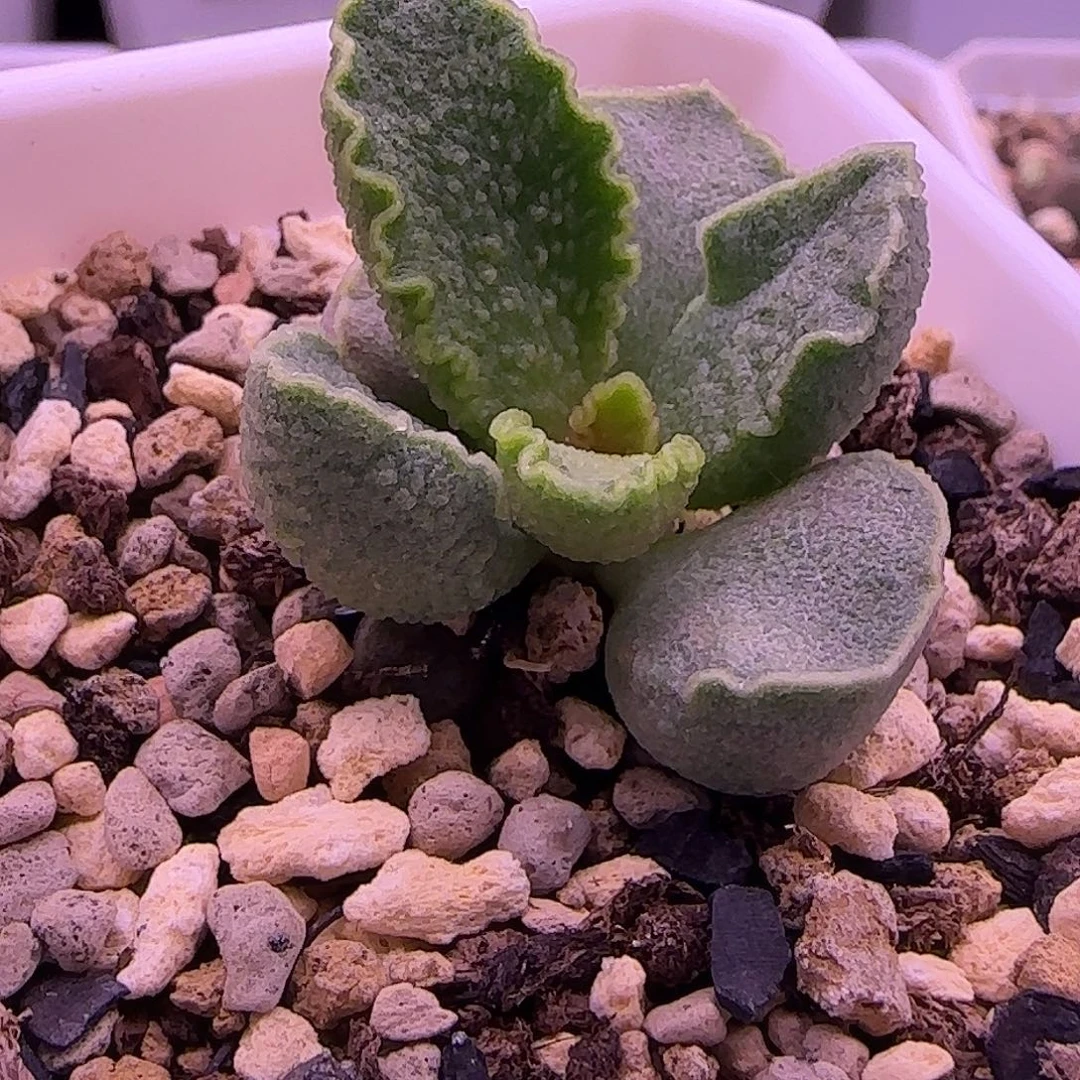 特价新品，一物一拍