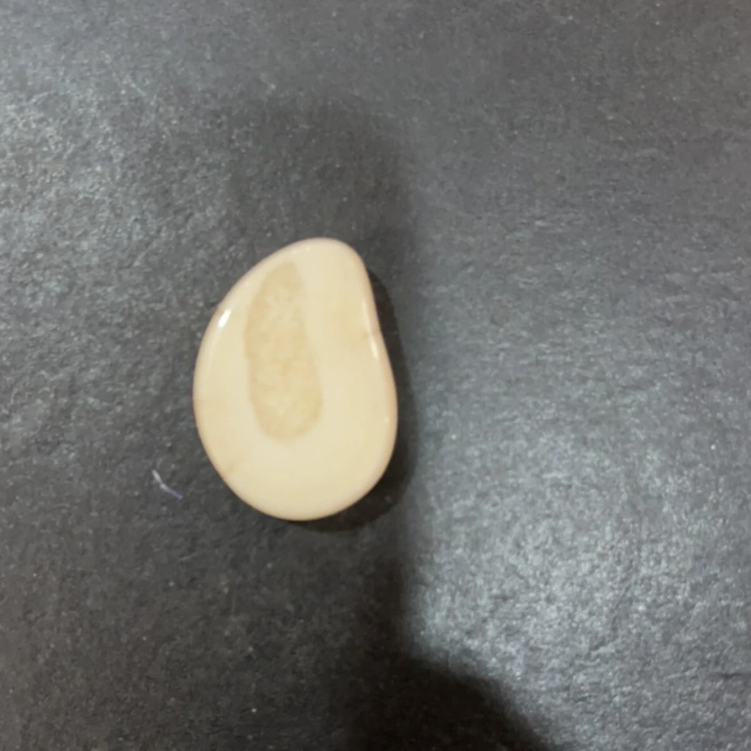 猛犸虬约20克饼子配饰TD404