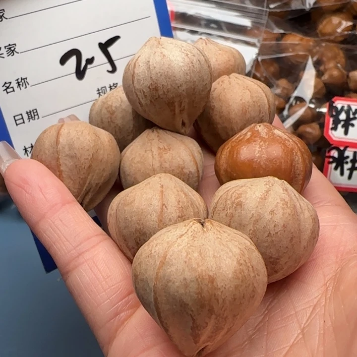 橄榄核手串?***?橄榄核