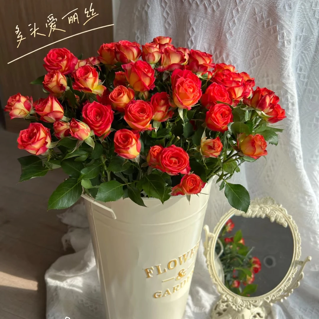 次日达《爱丽丝多头玫瑰一扎》鲜花批发直播任意两单升级顺丰包邮三单送随机花瓶一个今天拍明天到