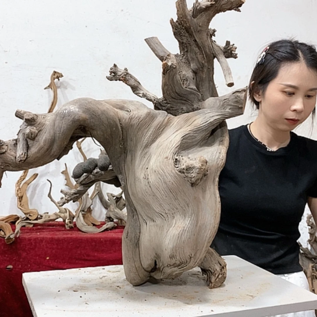 【闪购商品】柏木爱***辉我们都是好孩子啊