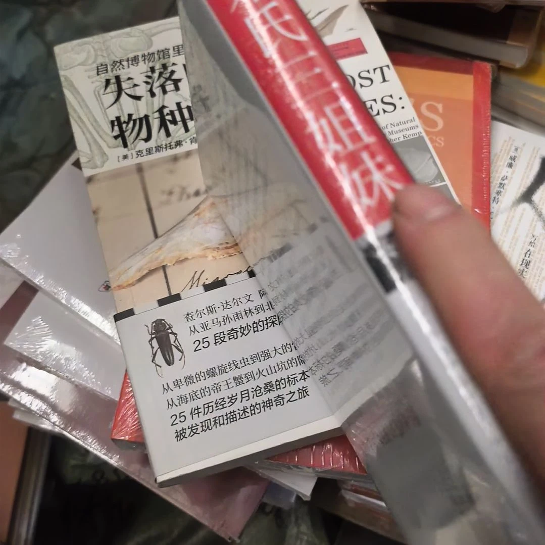 宋氏三姐妹精装塑封全新