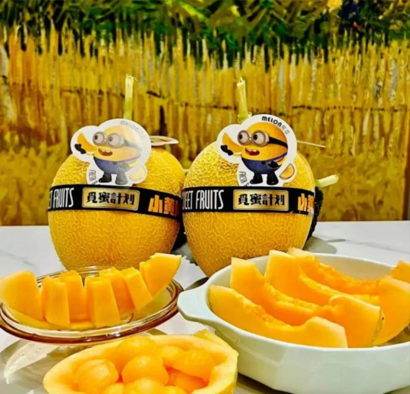 小黄同学 恐龙蛋哈蜜瓜 多规格1颗净重3-4斤左右起拍