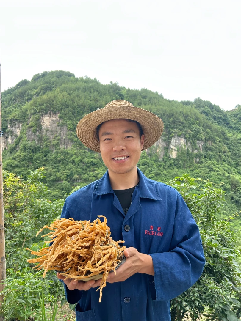 【秃头精选】农村高山野竹笋