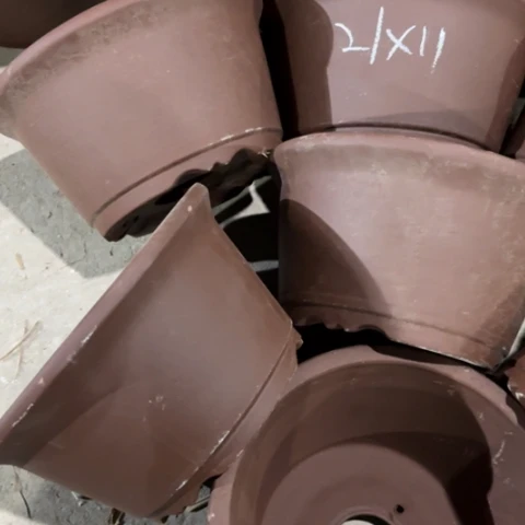 大***虎70-6。 21-11。