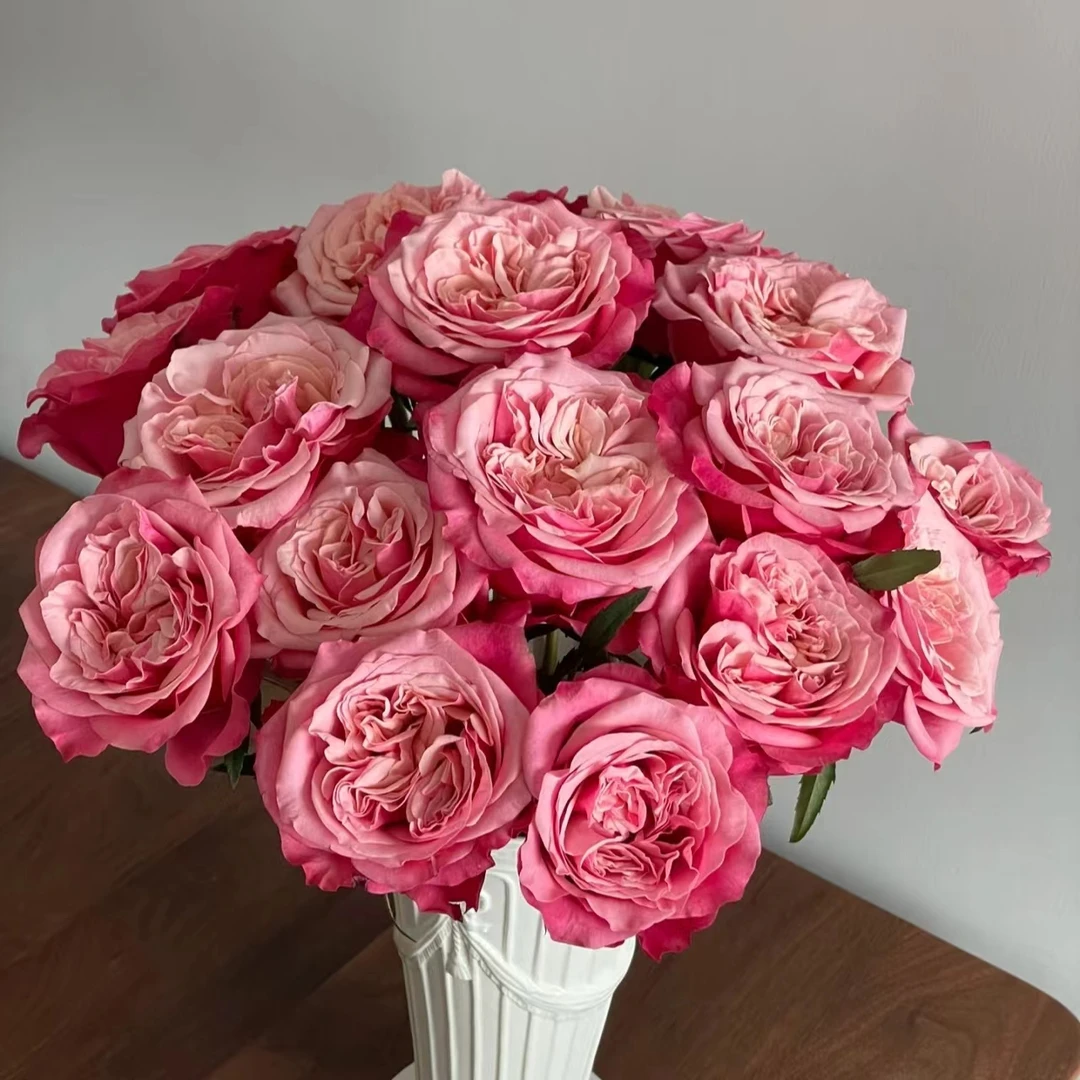 【闺蜜AK】20枝单头玫瑰 基地直发|全场任意满两单鲜花包邮