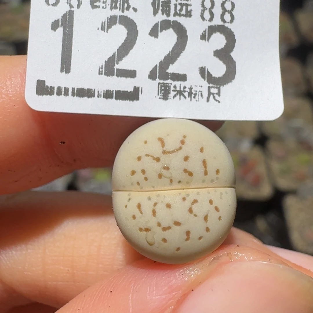 a****绝绝绝绝好帅1223