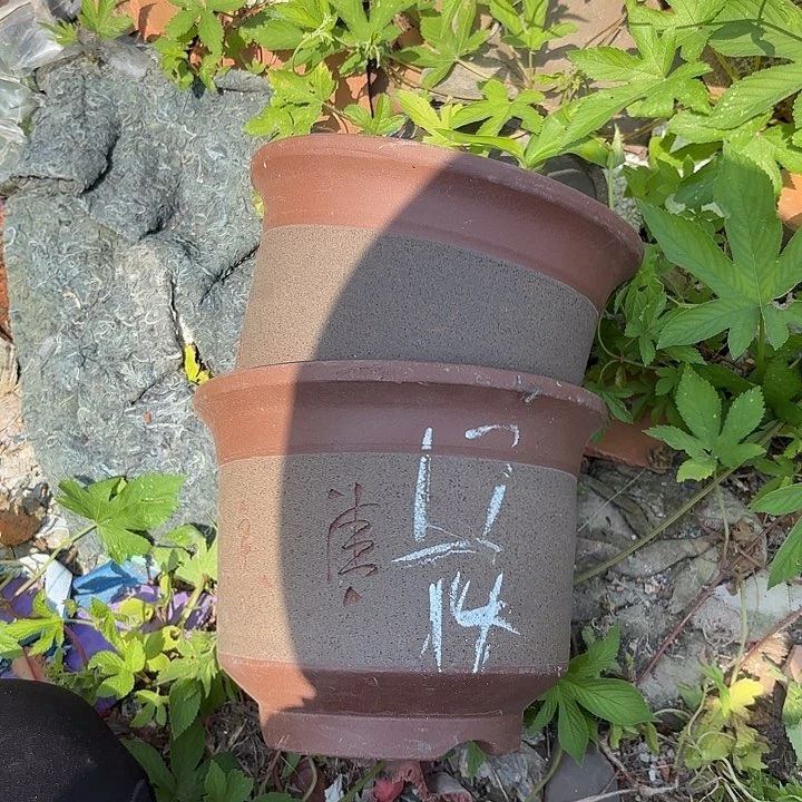 紫砂花瓶紫砂的味道很