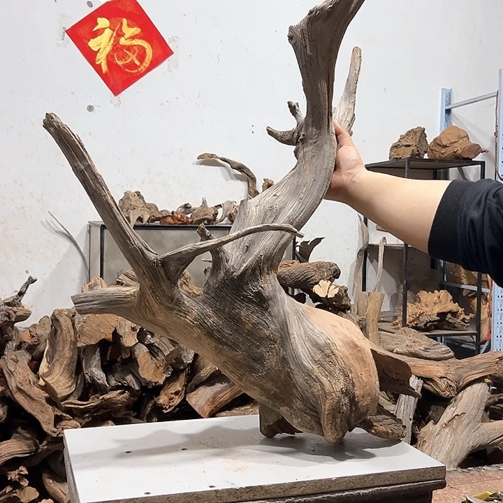 柏木精****》我们的生活也是如此