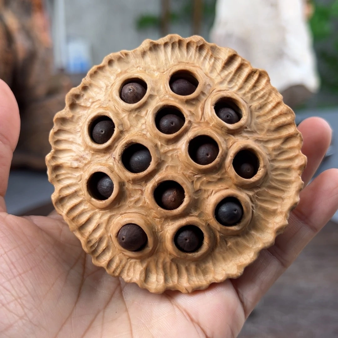 柏木（崖柏）崖柏太行山脉