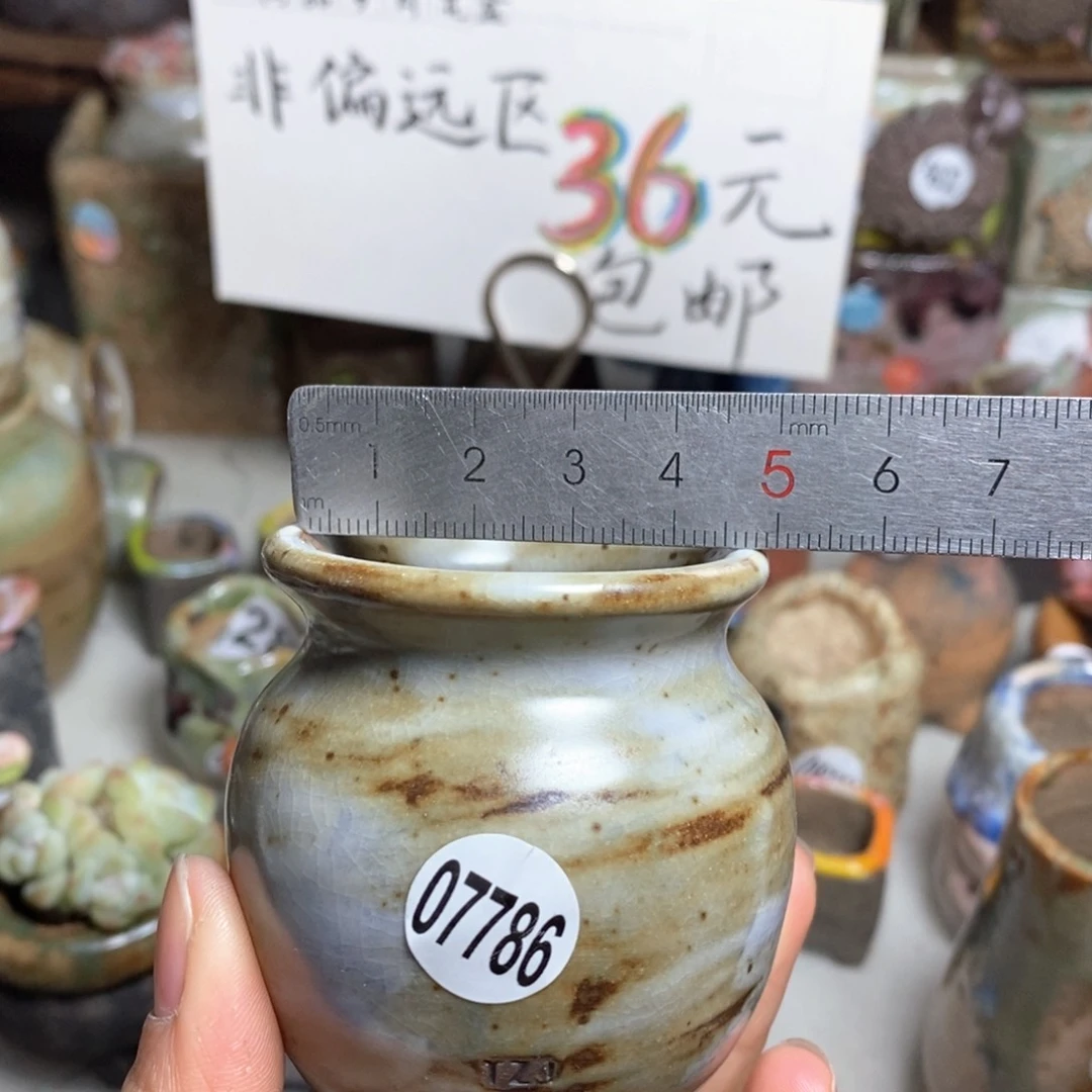 花盆拍5送一个小礼物