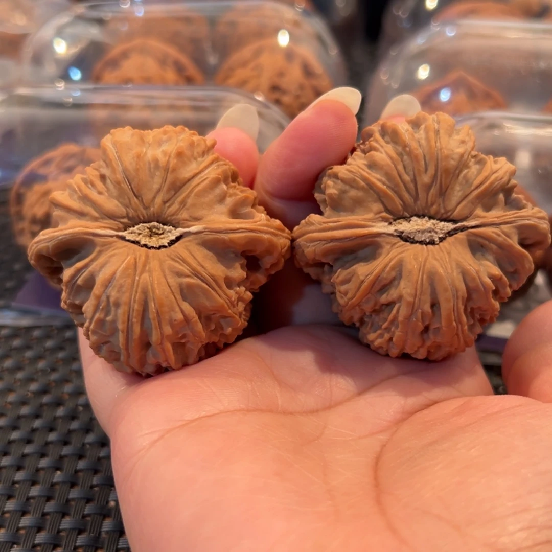 白***狗把件文玩核桃白狮子49