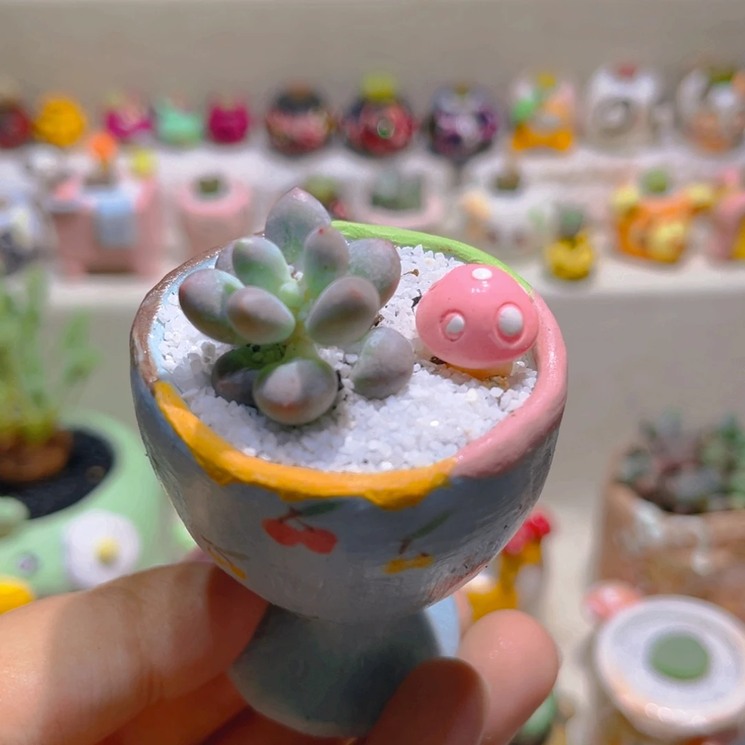 033草莓汤圆带盆带土手工盆