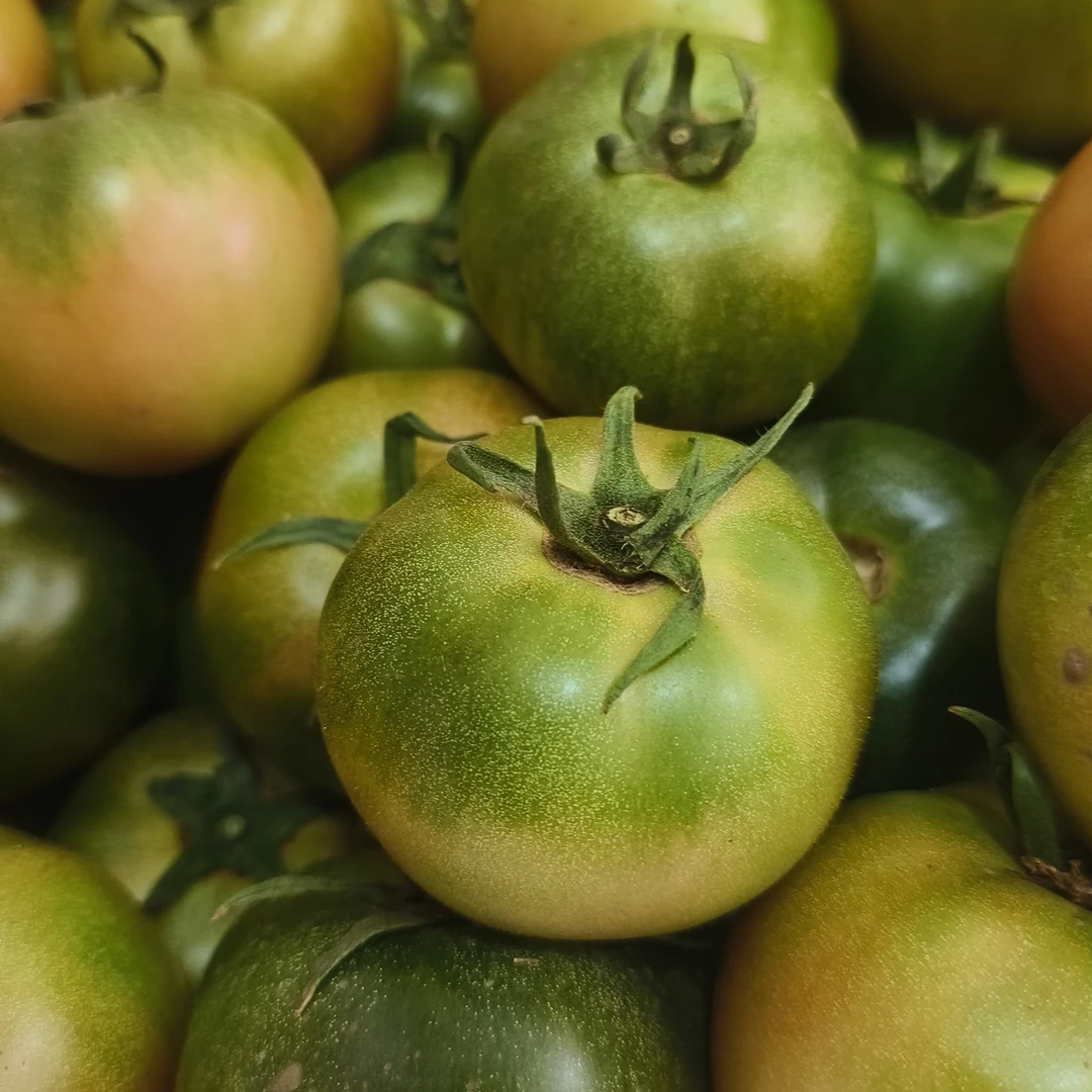 东北榆树草莓柿子3斤4.5斤包邮新鲜铁皮酸甜可口