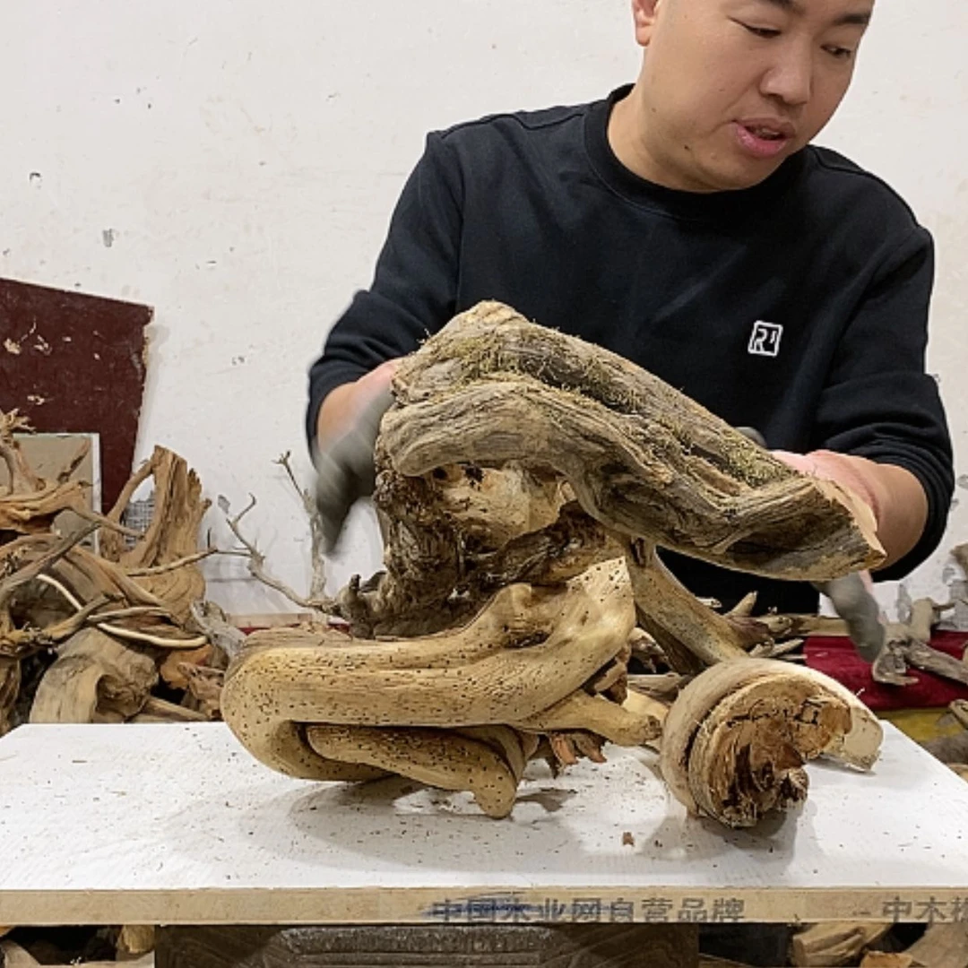 【闪购商品】柏木凤**乐我们都是好孩子