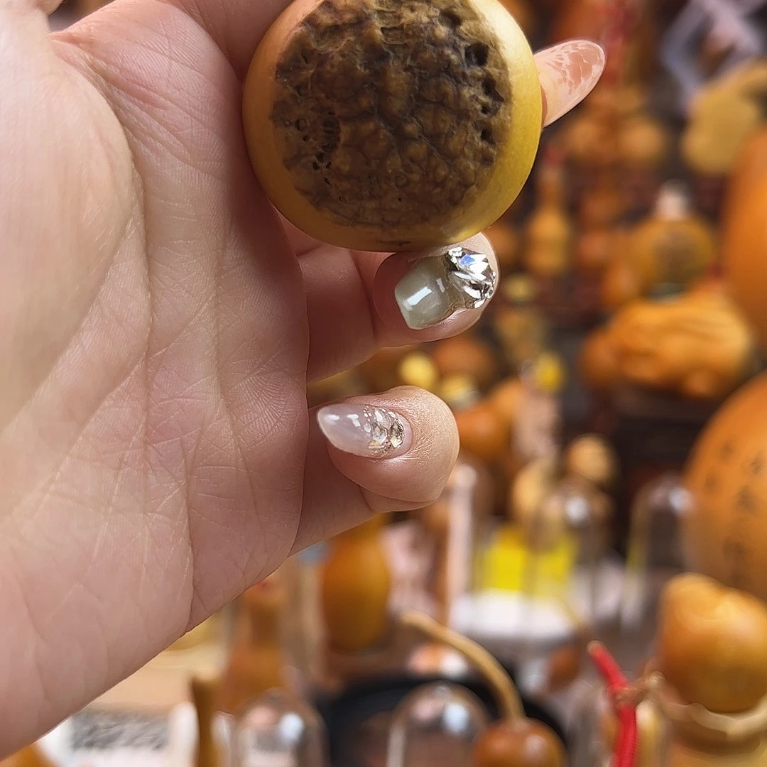 清***摇葫芦葫芦葫芦葫芦葫芦