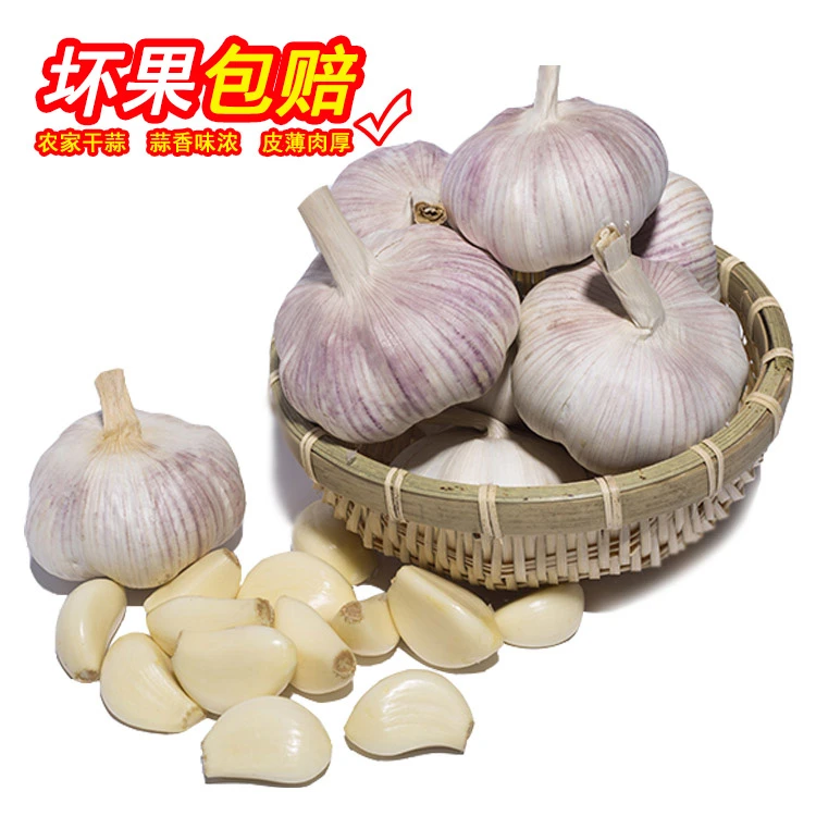 【2025新干蒜】5斤农家自种紫白皮大蒜头河南蔬菜大蒜种子1斤3斤9斤
