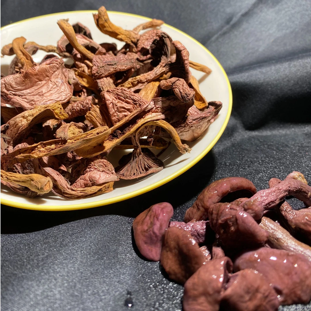 内蒙古松树伞红蘑肉蘑干货干净好清洗煲汤炖炒皆可