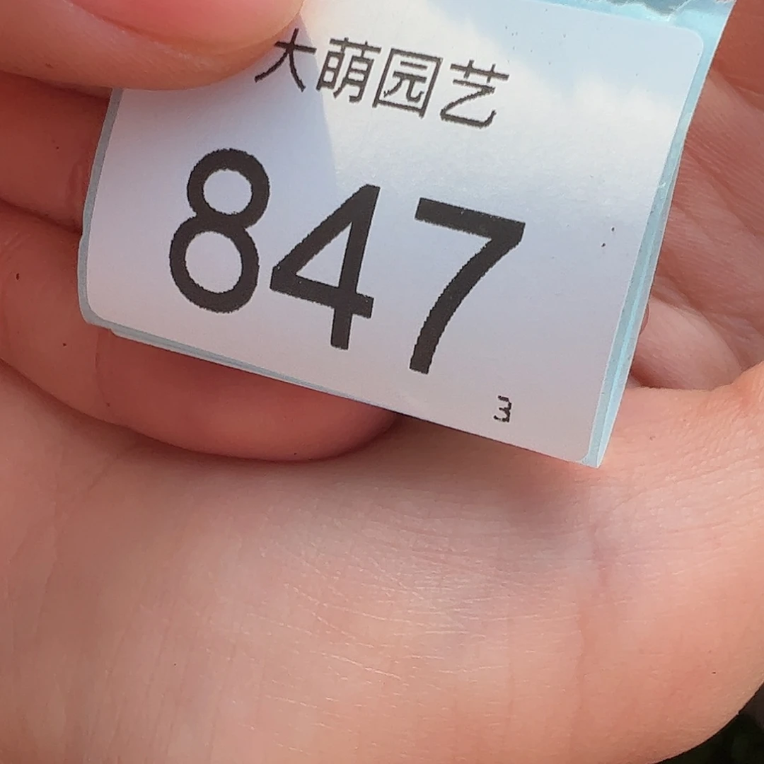 如***道0000847一物一拍……