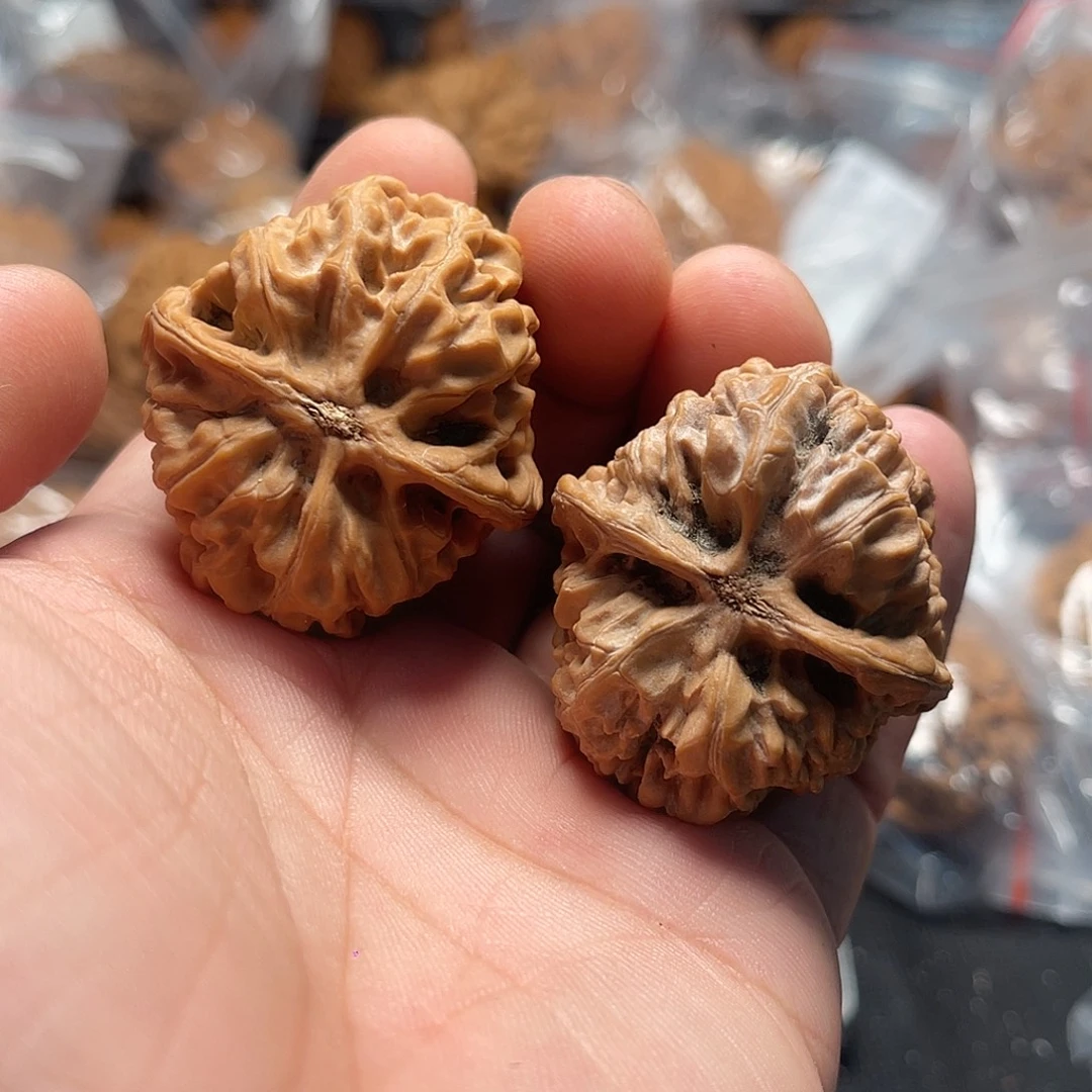 道***一文玩核桃火苗42-08