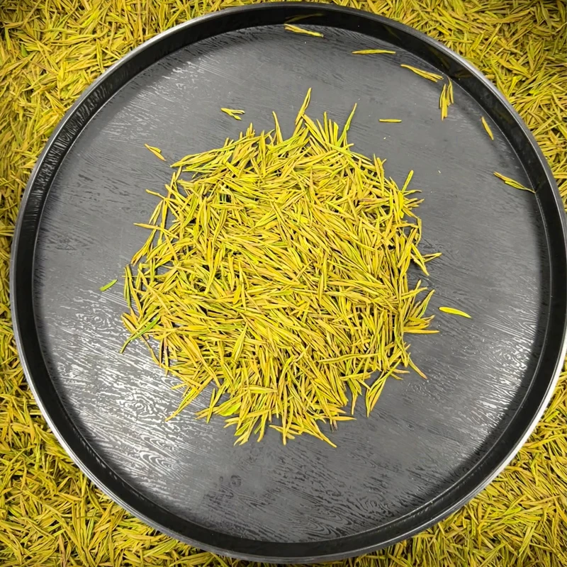 2025年精品明前黄金芽春茶芽豆香黄茶散装自备口粮