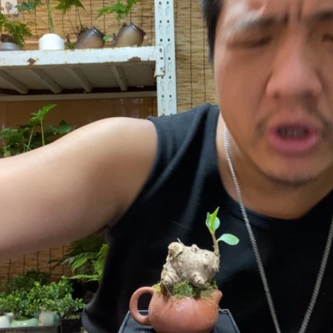 红陶呱**子一物一拍所见即所得182