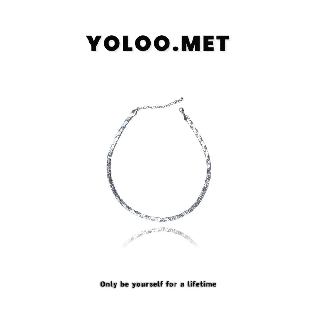 铜合金项链 【Yoloo.Met】高级感气质轻奢银色蛇骨链项链