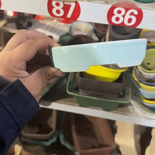 我想说什么都没有我也很开心你在做