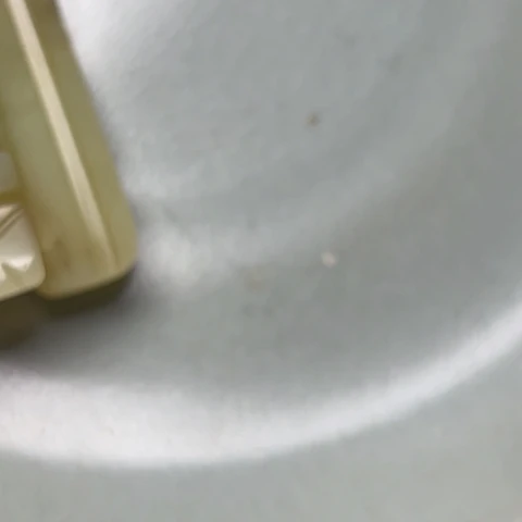 瓷片鸮8888888888888