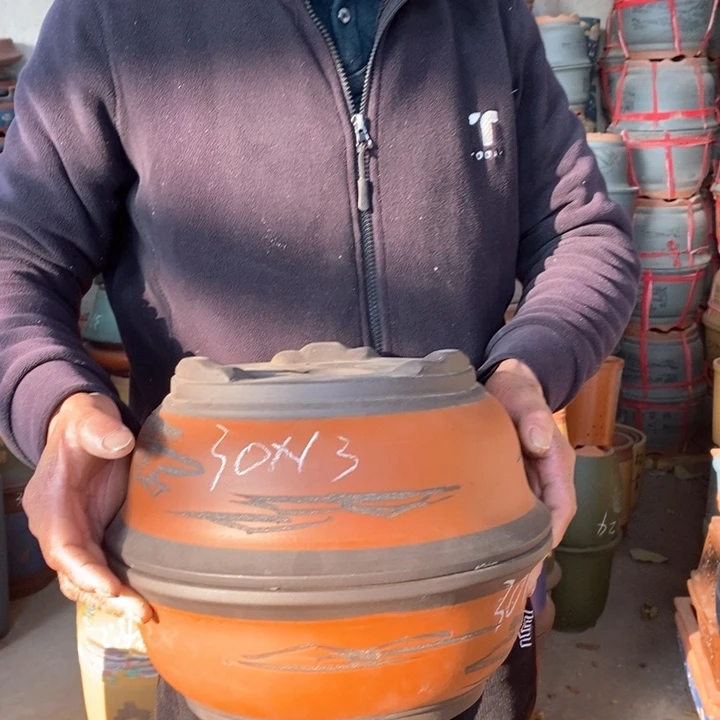 紫砂花盆盆栽花卉苗木种植