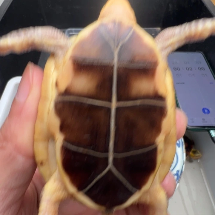 莫***程啦咯咯咯我在外面吃饭