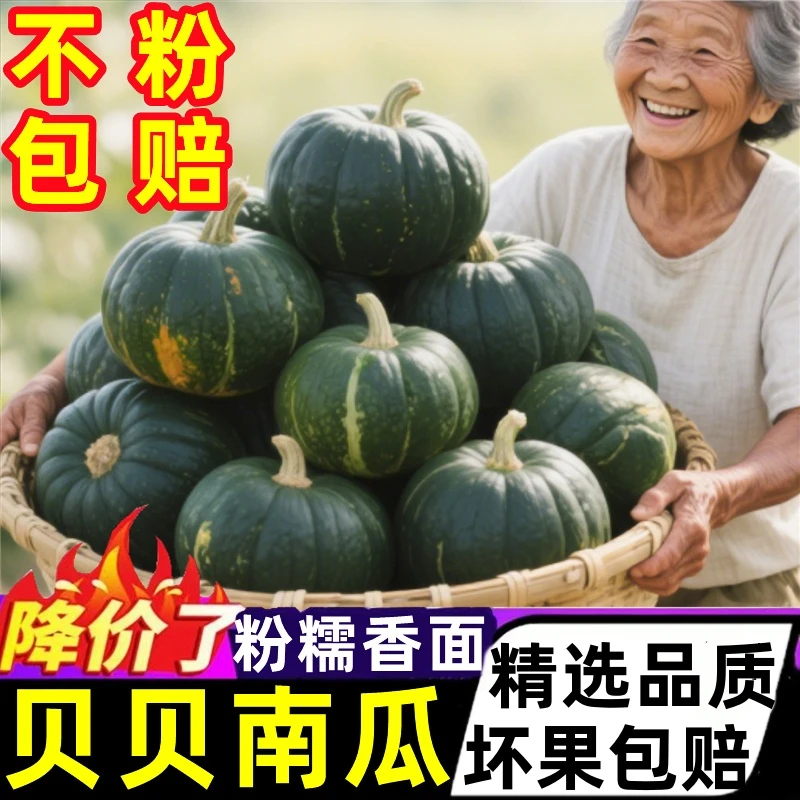 正宗山东贝贝南瓜新鲜板栗味惠和一号南瓜当季婴儿孕妇粉糯