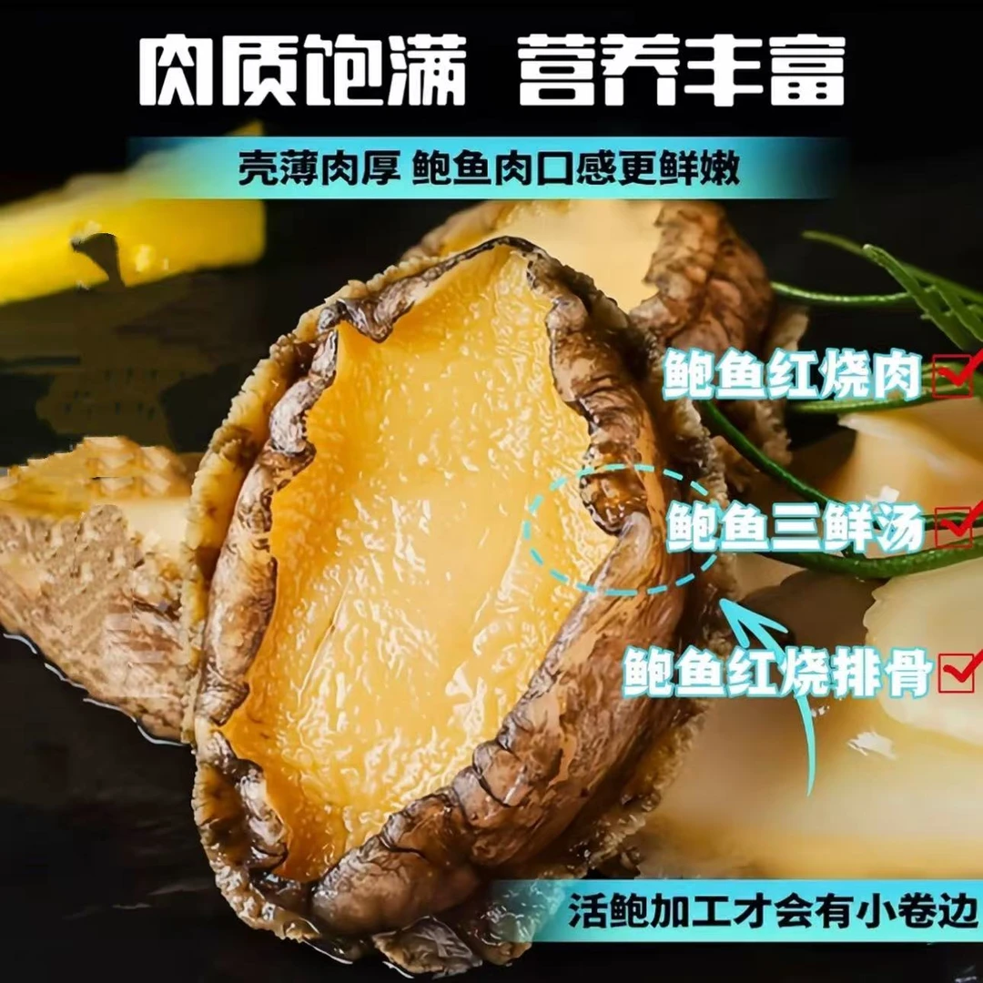 【顺丰冷链】纯鲍鱼肉5-6厘米20只去壳去内脏 冷冻产品去壳去内脏