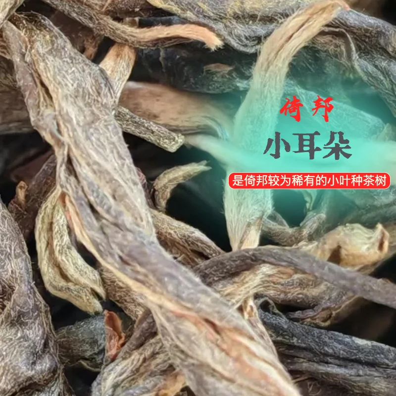 2023年云南普洱茶 倚邦茶区 小耳朵大树茶纯料生茶  250克