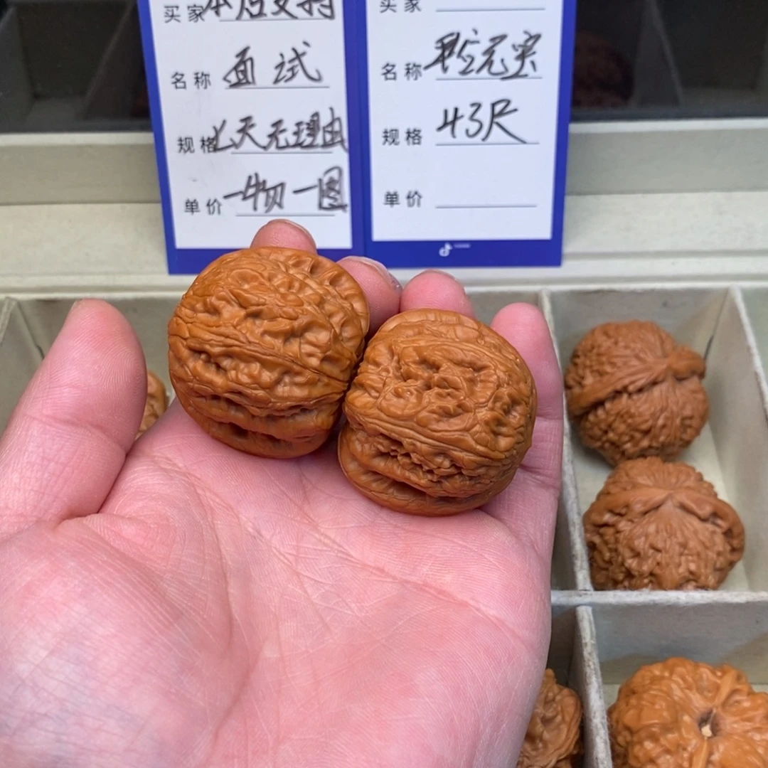 核桃平谷元宝（43尺寸）有修