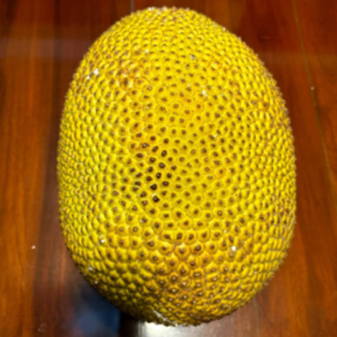 菠萝蜜 2斤同城配送 一物一拍