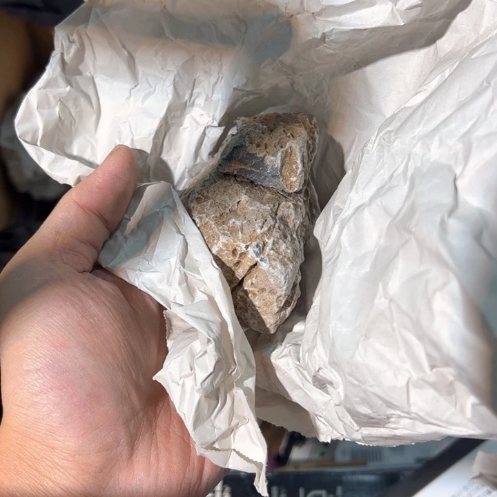 W***W舅舅舅舅舅舅舅舅舅舅