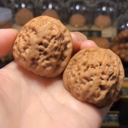 精精品：平谷霸王